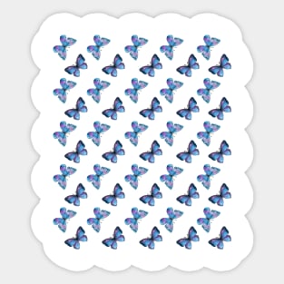 Butterfly Pattern - Blue Coloured Sticker